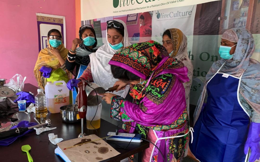 The Role of Women and Youth in the Olive Value Addition Chain in Pakistan.